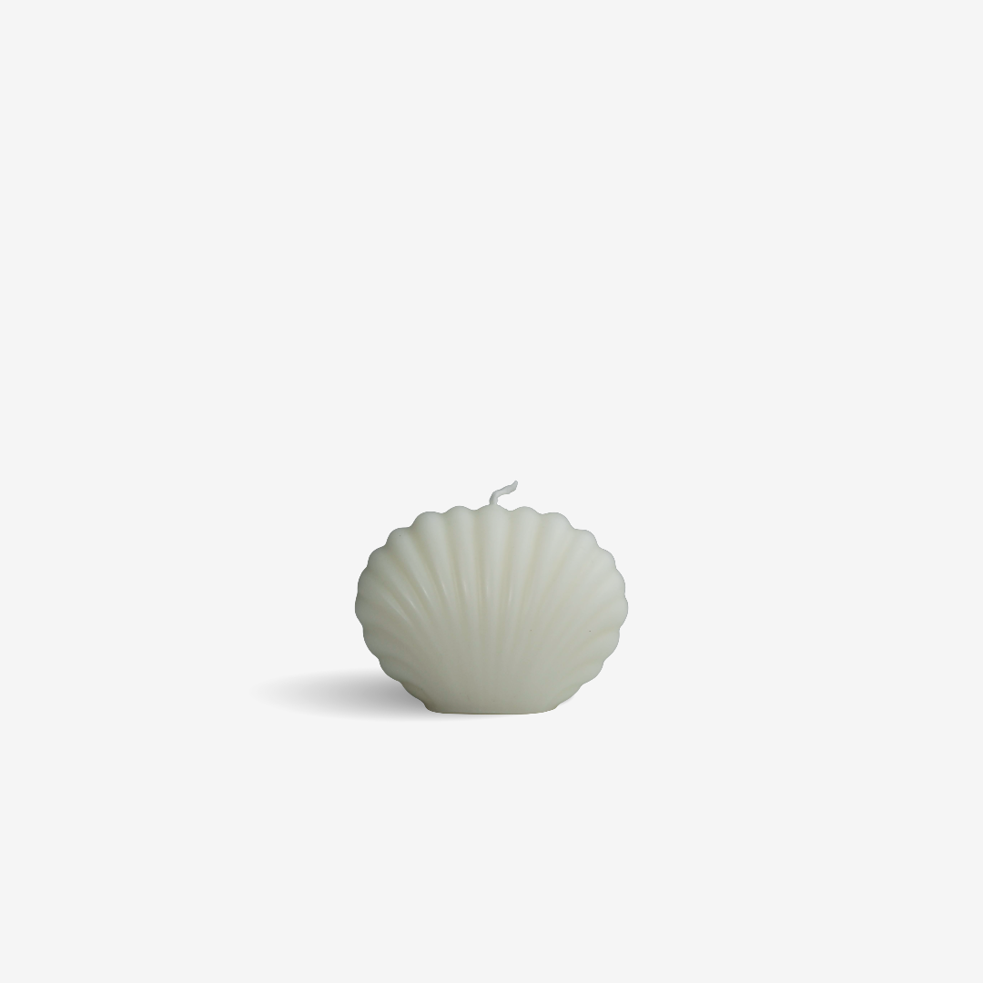 Shell 🐚