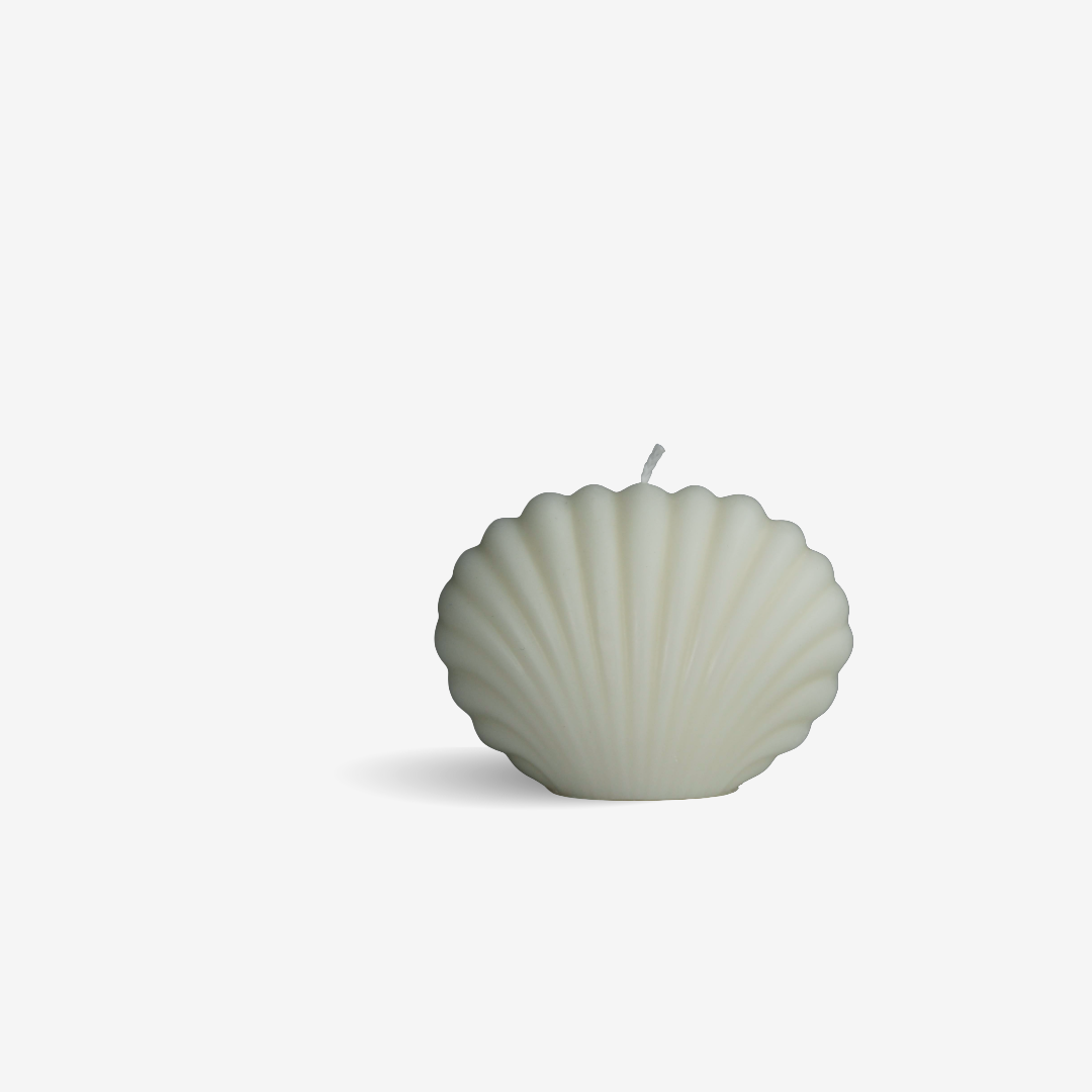 Shell 🐚