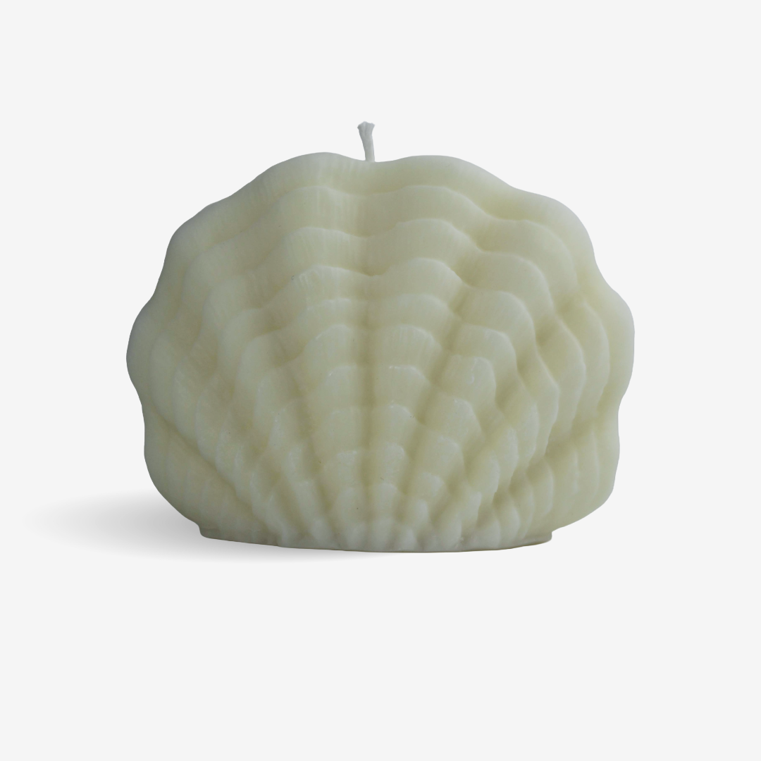Scallop 🐚