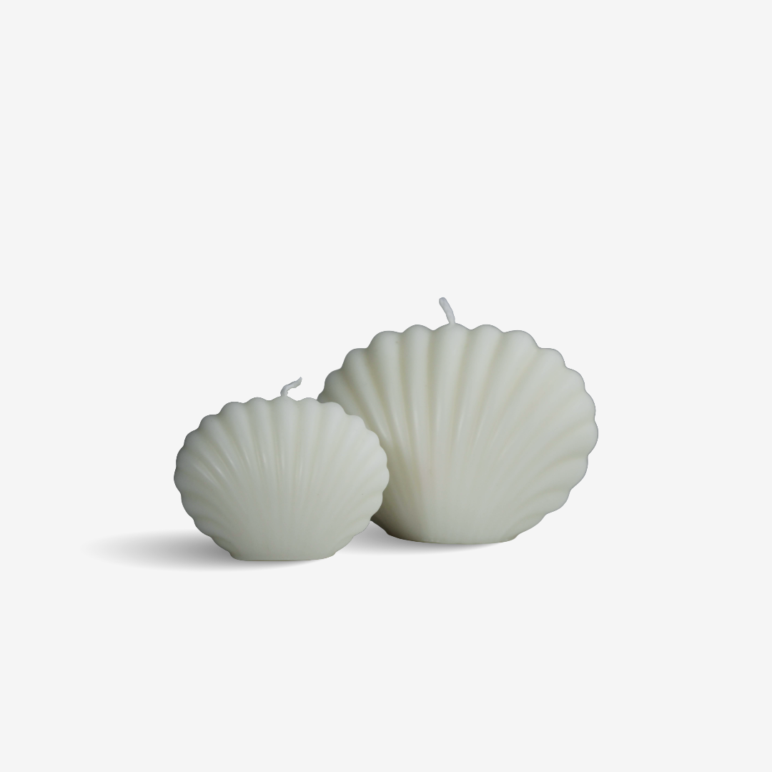 Shell 🐚