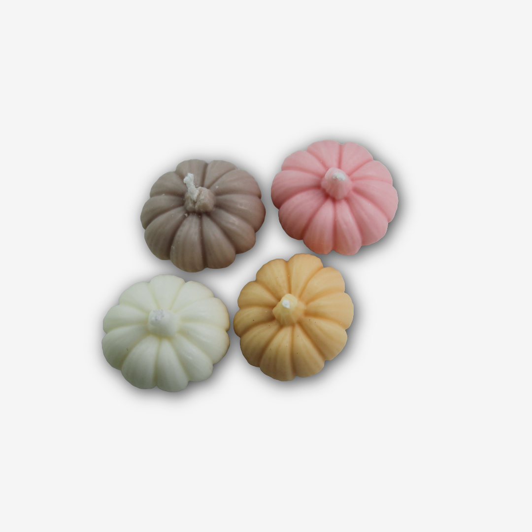 Hokkaido Small 🧡