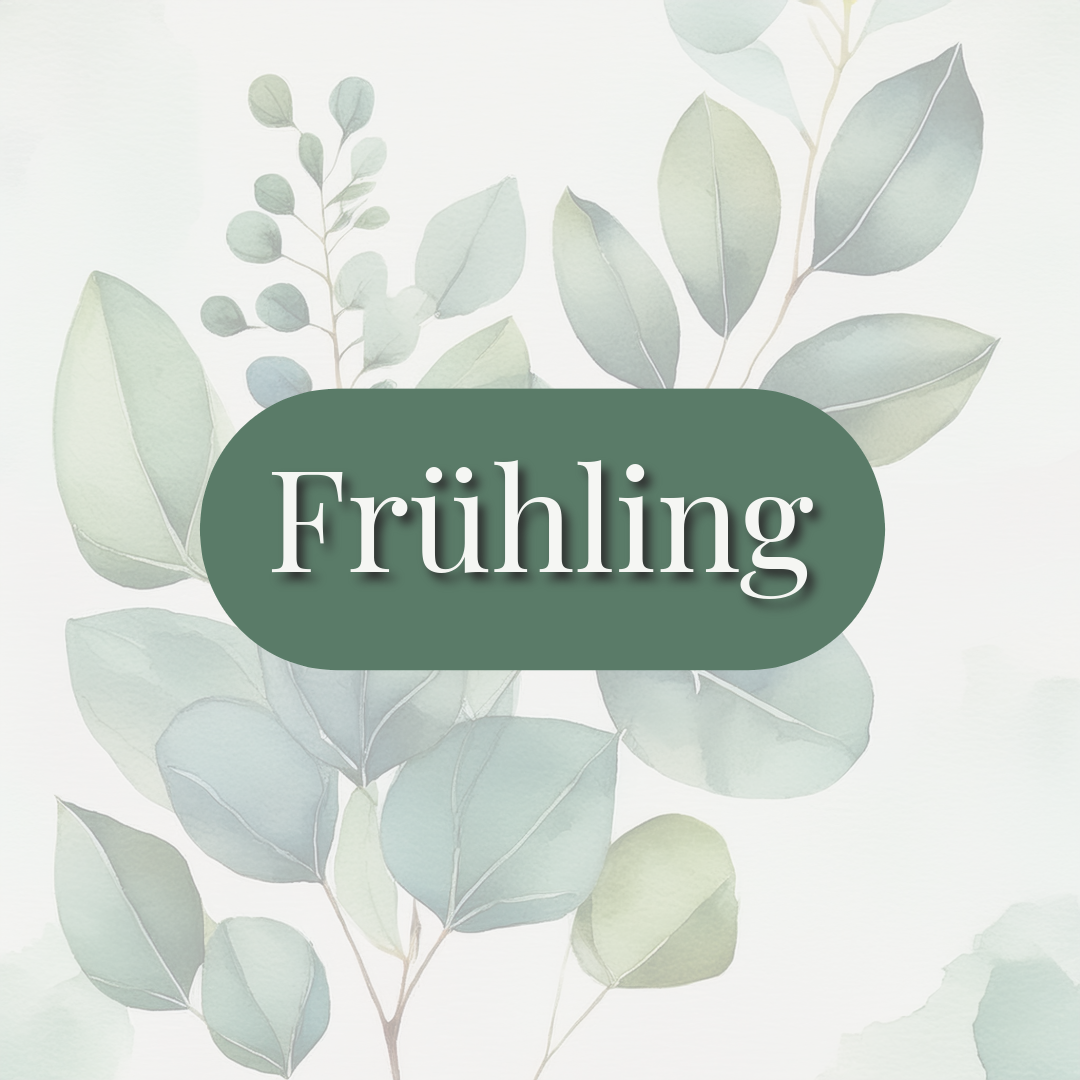 Frühling 💐☀️