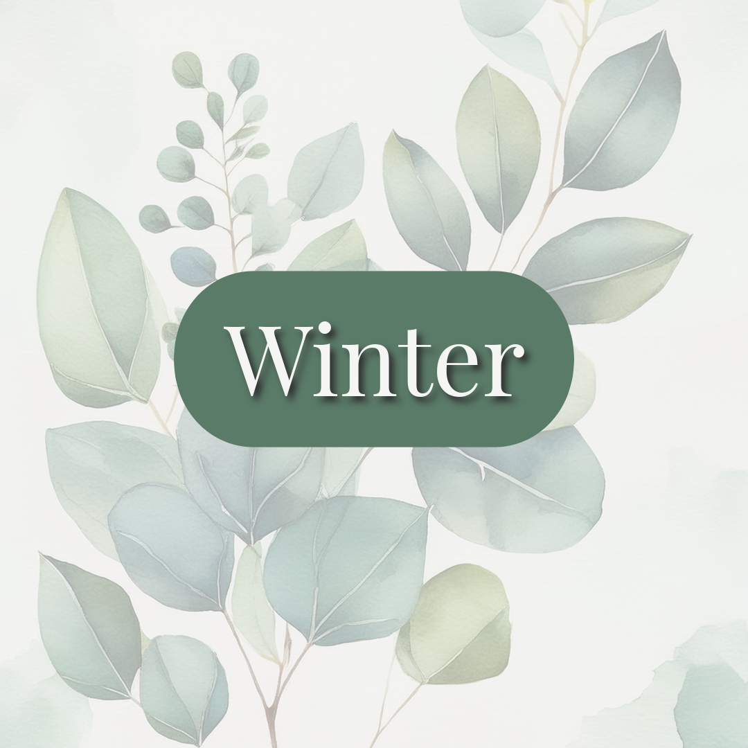 Winter ❄️🏔️