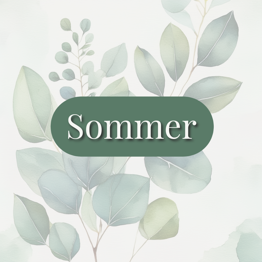 Sommer 🌊🐚